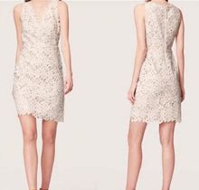 Loft Dresses | Ann Taylor Loft | White Floral Lace Sheath Dress | Color: Cream/White | Size: 10