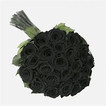 Long Stem Roses | Black Roses | About 20 | The Million Roses | Luxury Preserved Roses | Flower Delivery