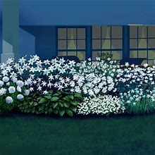 Fragrant Moonlight Garden Collection - 20 Per Package | White | Collection Of Various Item | Zone 3-9 | Spring Planting | Sun Perennials