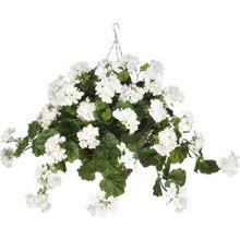 Artificial White Geranium In Beehive Basket, Artificial Plants, By House Of Silk Flowers, Inc.