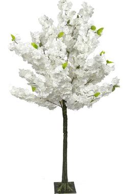 Flowering Dogwood Tree, 5' Tall White Centerpiece Or Floor Tree