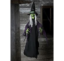 Hanging Witch Animated Prop | Animated Decorations | Adult | Unisex | Black/Green/Gray | One-Size | Sunstar Industries