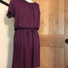 Talbots Dresses | Lightweight Talbots Spring Dress | Color: Purple | Size: M