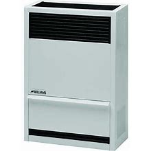 Williams Comfort Products Surface-Mount Gas Wall Heater, Natural Gas, Direct Vent Vent Type, Gravity Convection 1403822
