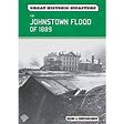 The Johnstown Flood Of 1889 9780791097632 Used / Pre-Owned