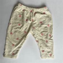Zara Bottoms | Euc Zara Floral Pants | Color: Cream/Pink | Size: 3-6Mb