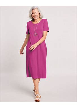 Blair Women's Essential Knit Dress - Purple - L - Misses
