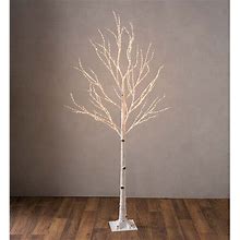 Plow & Hearth - Large Indoor / Outdoor Birch Tree With 600 Warm White Lights, White