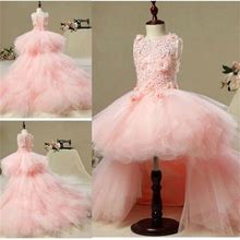 Lace Pink A Line Beads Flower Girl Dress Prom Pageant Party Girls'