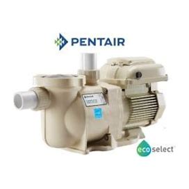 Pentair Superflo VS Energy Efficient Variable Speed Pump EC-342001