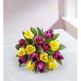 Spring Passion Tulip Bouquet 15 Stems, Bouquet Only | 1-800-Flowers Occasions Delivery