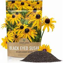 Sweet Yards Seed Co. Black Eyed Susan Seeds - Bulk Quarter Pound Bag -