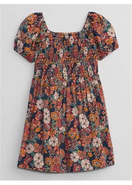 Gap Factory Babygap Print Puff Sleeve Dress Family Floral Size 3-6 m