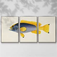 Tropical Fish Collection V - Multi Piece Framed Canvas - 26 X 40 - Silver