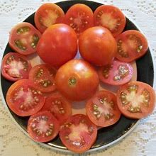 Heirloom Tomato- MOUNTAIN PRINCESS- 45 To 68 Day -Red -Determinate - 25 Seeds