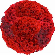 100 Red Roses- Fresh Flower Delivery