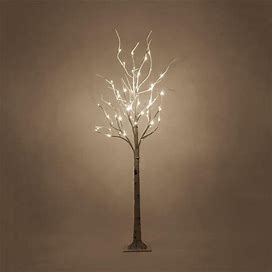Lighted 5 ft. Artificial Twig Birch Tree With 60 Warm White LED Lights