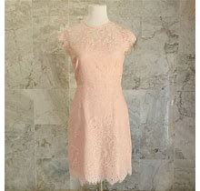 NWT BB Dakota Pink Jayce Lace Sheath Dress 6