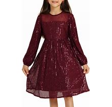 Danna Belle Girl Sequin Party Dress Long Sleeve A-Line Sparkle Mesh Dresses 5-12Y