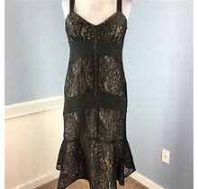 Loft Dresses | Ann Taylor Loft Black Lace Sheath Dress S 6 P | Color: Black/Tan | Size: 6P