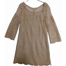 Muse Dresses | Muse Lace Overlay Dress Ecru Womens Size 8 | Color: Cream/Tan | Size: 8