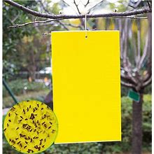 20 Count Dual Yellow Sticky Traps 8 X 6 Inch Set For Flying Plant Insect Like...