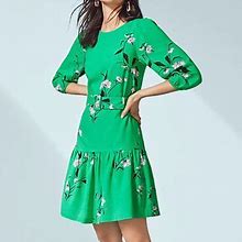 Ann Taylor Dresses | Ann Taylor Floral Belted Flounce Shift Dress | Color: Green/Pink | Size: Various