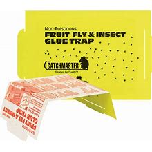 Catchmaster Fruit Fly Trap 100FF Glueboards ( 100 Traps) Fruit Flies Drain Flies