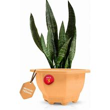 Pack Of 5 Garden Pots - Elevate Your Garden With Stylish And Durable Planters - Ideal For Showcasing Your Favorite Plants And Flowers In Any Outdoor