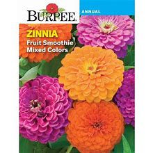 Burpee Fruit Smoothie Mixed Colors Zinnia Flower Seed, 1-Pack