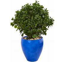 Nearly Natural 32 in. Peperomia Artificial Plant In Blue Planter