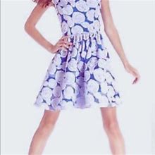 Betsey Johnson Dresses | Betsy Johnson Lavender Roses Dress | Color: Blue/Purple | Size: 4