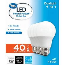 Great Value LED Bulb 6W (40W Equivalent) A19 E26 Base Non-Dimmable Daylight 18Y 4-Pack