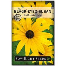 Sow Right Seeds - Black Eyed Susan Flower Seeds For Planting - Non-GMO Heirloom Seeds Packet To Plant A Home Garden - Perennial Wildflowers Attract