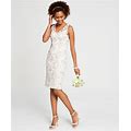 Adrianna Papell Women's Floral Embroidered Sheath Dress - Ivory - Size 0
