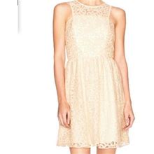 The Limited Dresses | The Limited Ivory Lace Dress - Euc | Color: Cream | Size: 4