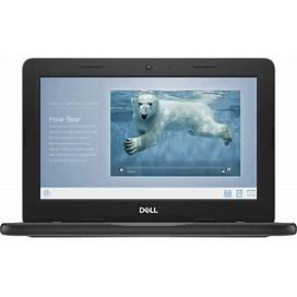 Dell Education Chromebook 3000 3110 11.6" Touchscreen Chromebook - HD - 1366 X 768 - Intel Celeron N4500 Dual-Core (2 Core) 1.10 Ghz - 4 GB Total
