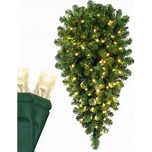 3' X 16" Oregon Fir Prelit Commercial LED Teardrop Christmas Greenery,