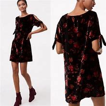Loft Dresses | Ann Taylor Loft Women Xs Petite Floral Velvet Shift Dress Black Red Orange B17 | Color: Black/Red | Size: Xs