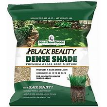 Jonathan Green 10600 Black Beauty Dense Shade Grass Seed Mixture, 3 Lbs. - Quantity 1