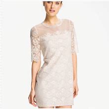 Max & Cleo Dresses | Ivory Floral Lace Mini Dress | Color: Cream/White | Size: 4