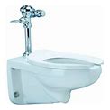 Zurn® One Manual Floor Mounted Toilet System W/ Flush Valve, 1.28 GPF