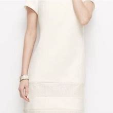 Ann Taylor Dresses | Ann Taylor Petite White Perforate Panel Dress | Color: White | Size: 4P