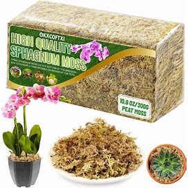 2 Pcs Sphagnum Moss, Peat Moss, Sphagnum Moss For Reptiles, Water Moss, Fake Moss, Green Dried Moss, Craft Moss For Plant Potted Plants Flower &