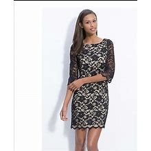 Alexia Admor Dresses | Alexia Admor Lace Dress | Color: Black | Size: Xs