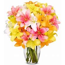 Flowers - Stunning Lily Bouquet - Premium - Regular