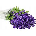 Admired By Nature Artificial Wisteria Long Hanging Bush Flowers 15 Stems For Home Wedding Restaurant And Office Decoration Arrangement Lavender