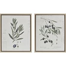 Madison Park Kalamata Branches Floral Canvas Wall Art - 2 Piece Botanical Flower Painting Printed And Stretched On Wood Frame, Black, Green Bed,