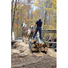3 Red Oak Wood Lumber Boards Measuring 1/8" X 10" X 12"