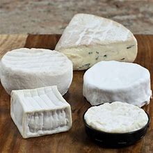 Gooey Cheese Sampler - Assortment Of 5 Cheeses